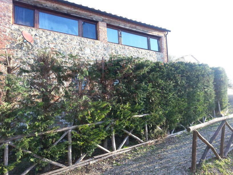 Residenza Il Platano Fortilizio Di Campiglia Rapolano Terme Exterior foto